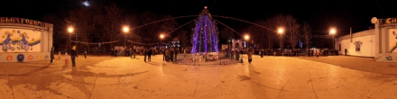 Новогодняя елка Таганрога. Фотография.