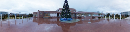 Новогодняя елка в поселке Витязево. Витязево. Фотография.