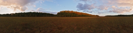 Богоявленское болото. Фотография.
