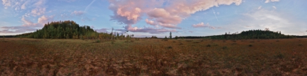 Закат на Богоявленском болоте. Фотография.