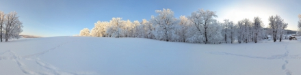 Зимний лес. Шабагиш. Фотография.