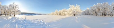 Зимний лес. Шабагиш. Фотография.