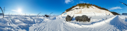 Археопарк / Шерстистый носорог. Ханты-Мансийск. Фотография.