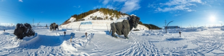 Археопарк / Первобытный бизон. Ханты-Мансийск. Фотография.