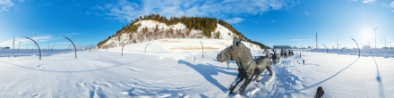 Археопарк / Плейстоценовая лошадь. Ханты-Мансийск. Фотография.