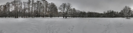 Зима в Удельном парке - 2. Санкт-Петербург. Фотография.