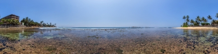 Россыпь морских ежей  на отмели в Хиккадуве.. Фотография.