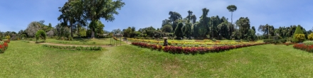Королевский ботанический сад - Колеус Бордер.. Фотография.