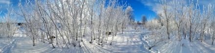 у оз. &quot;Горячка&quot; в мороз. Косая Гора. Фотография.