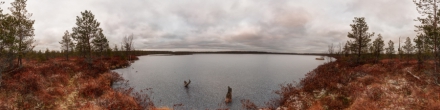 Богоявленское озеро. Большесельское. Фотография.
