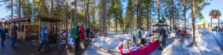 Югорский лыжный марафон-2015. Зона питания-3. Фотография.