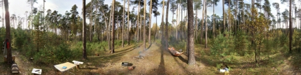 Пикник в Черняевском лесу. Фотография.