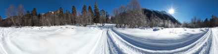 Дорога среди зимнего леса. Фотография.