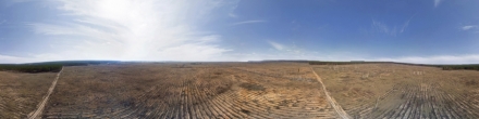Панорама Кожевенный кордон, посадка деревьев. Фотография.